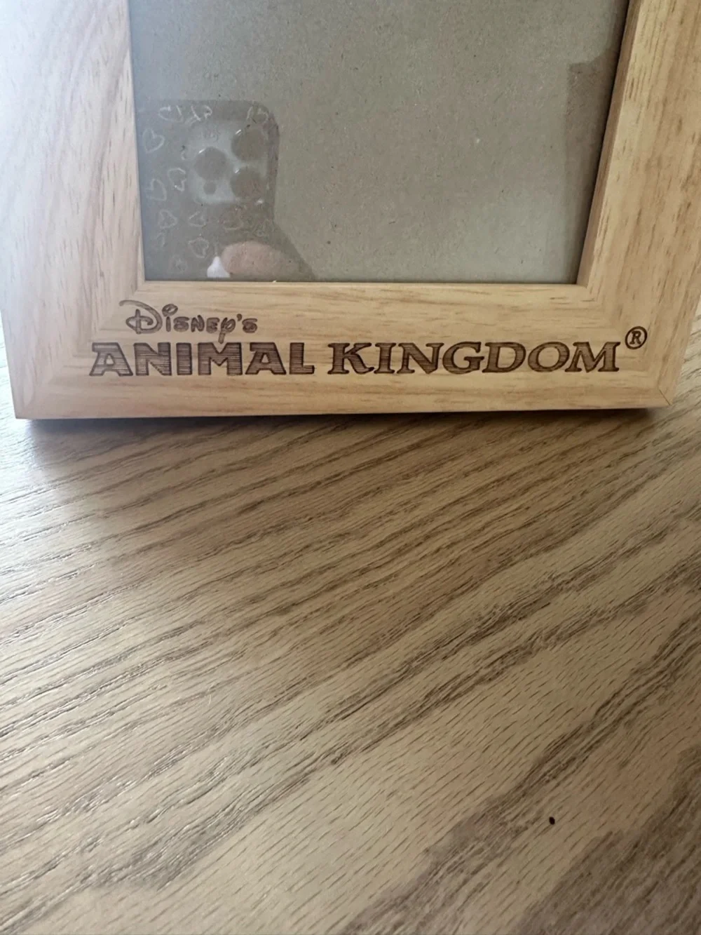 Disney display your